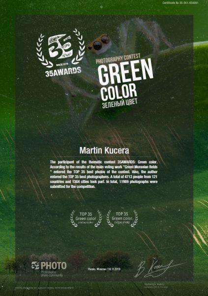 35awards_green_color