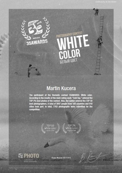 35awards_white_color