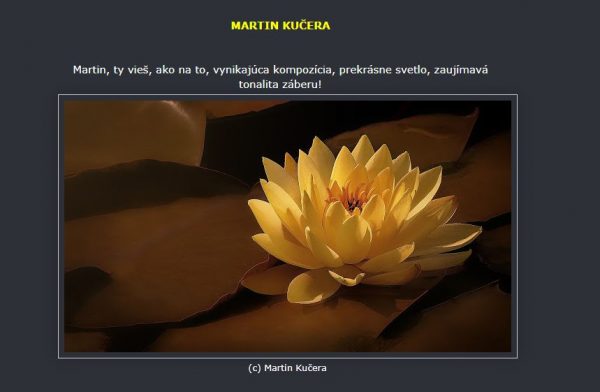 Martin Kucera Skola Perfektni fotografie